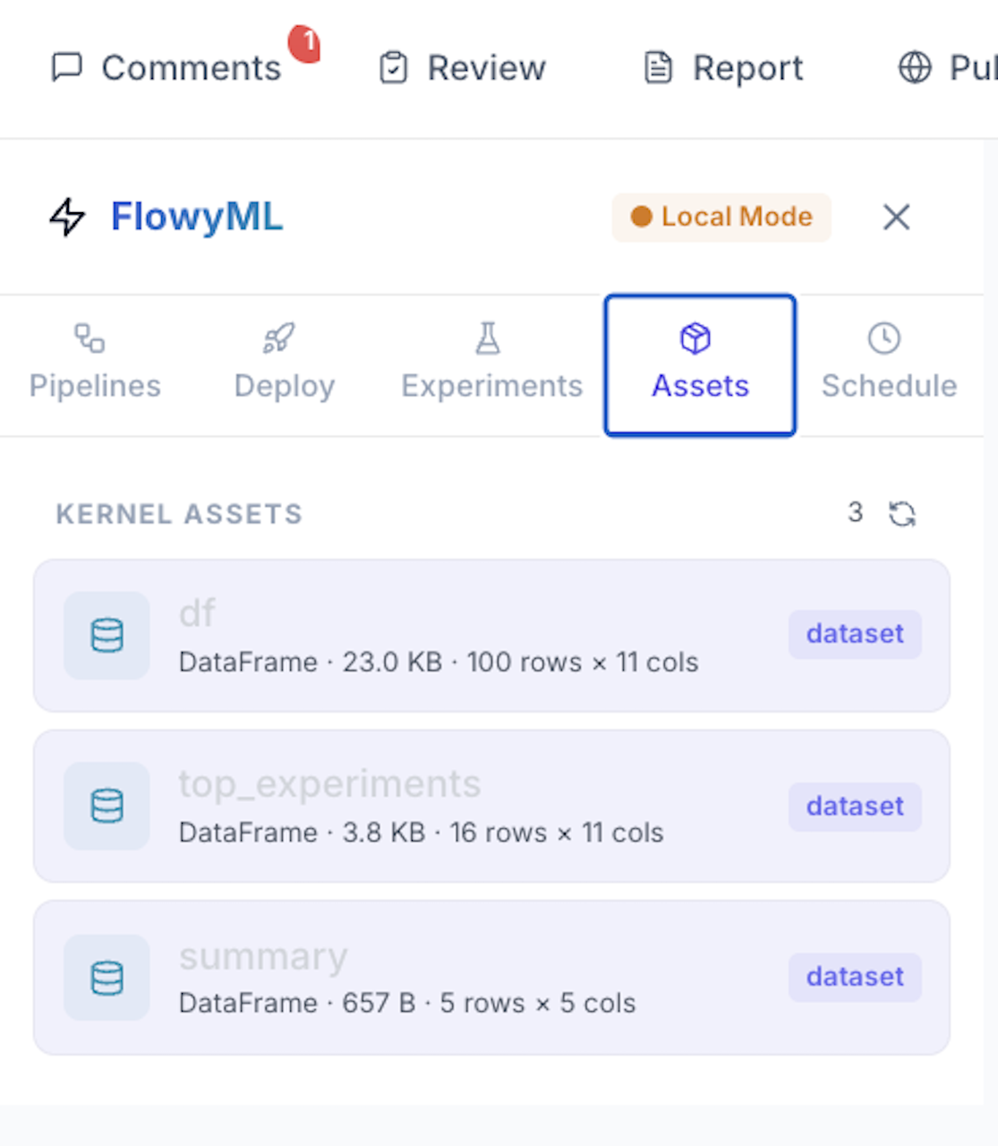 Assets Panel